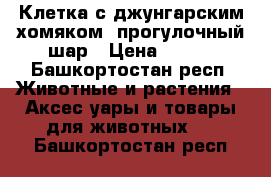 Клетка с джунгарским хомяком, прогулочный шар › Цена ­ 600 - Башкортостан респ. Животные и растения » Аксесcуары и товары для животных   . Башкортостан респ.